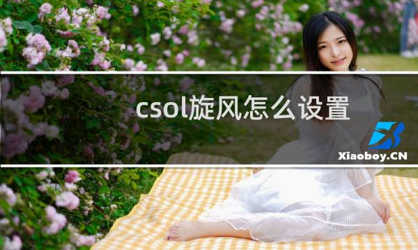 csol旋风怎么设置
