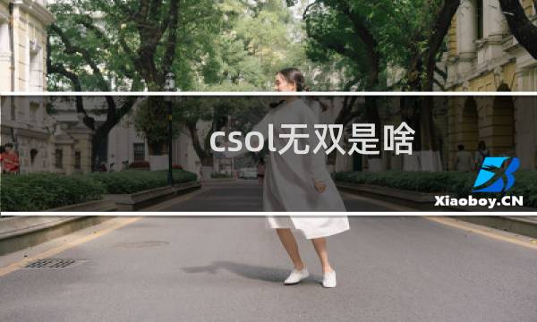 csol无双是啥
