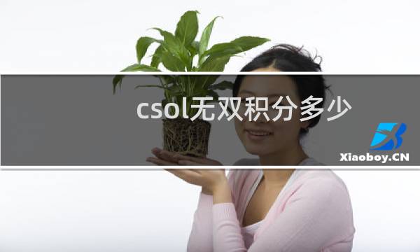 csol无双积分多少