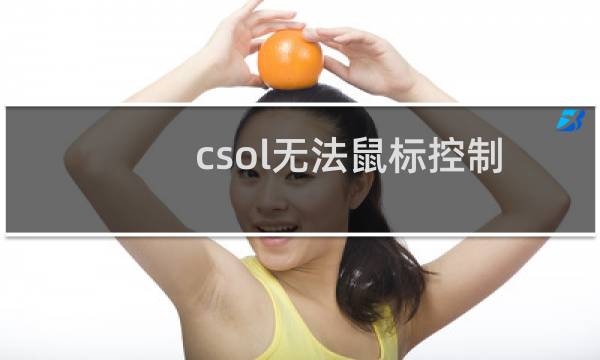 csol无法鼠标控制