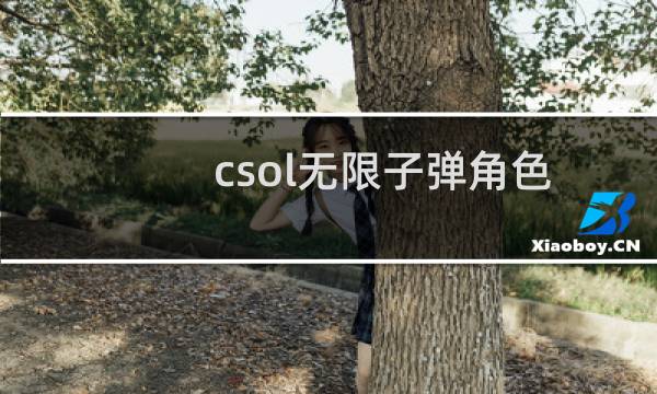 csol无限子弹角色