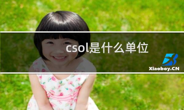 csol是什么单位