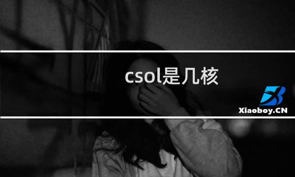 csol是几核