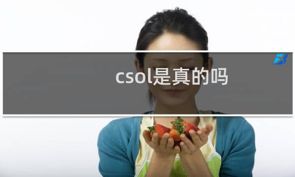 csol是真的吗
