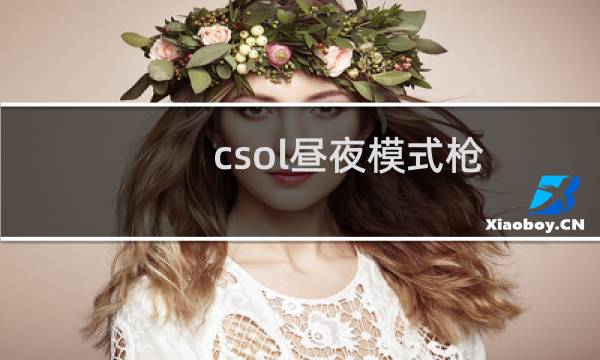 csol昼夜模式枪