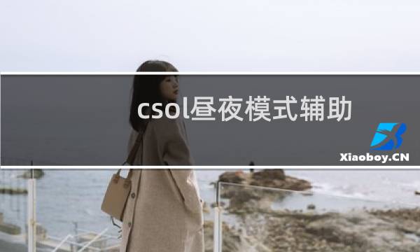 csol昼夜模式辅助