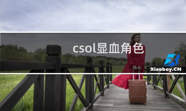 csol显血角色