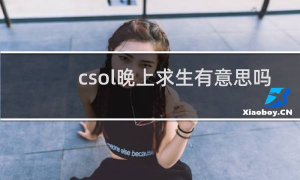 csol晚上求生有意思吗