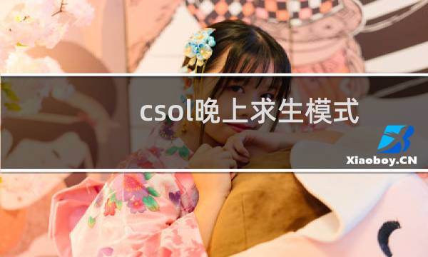 csol晚上求生模式