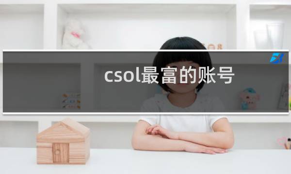 csol最富的账号