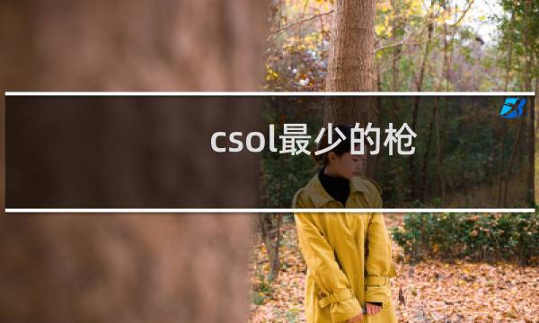 csol最少的枪