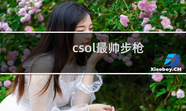 csol最帅步枪