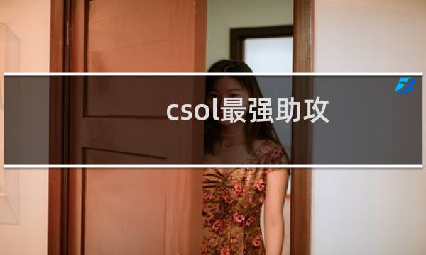 csol最强助攻