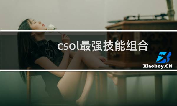 csol最强技能组合