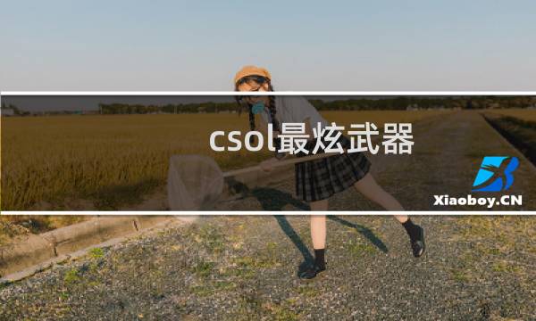 csol最炫武器