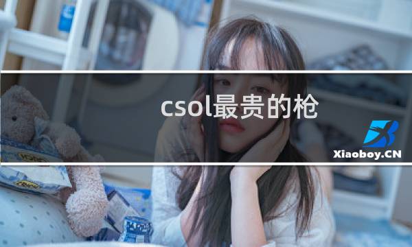 csol最贵的枪