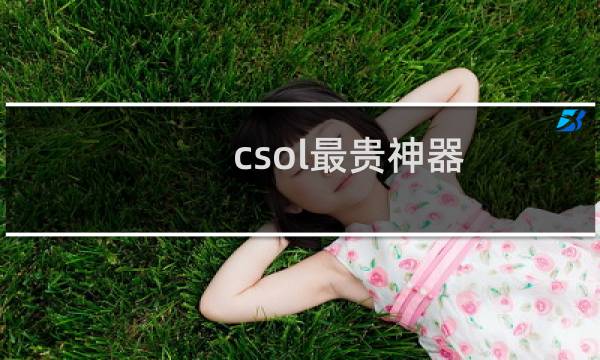 csol最贵神器