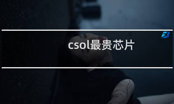 csol最贵芯片