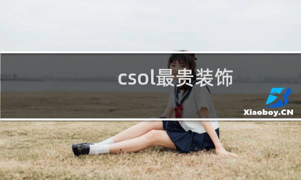 csol最贵装饰