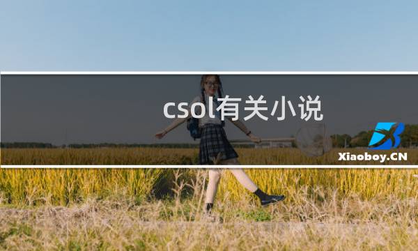 csol有关小说
