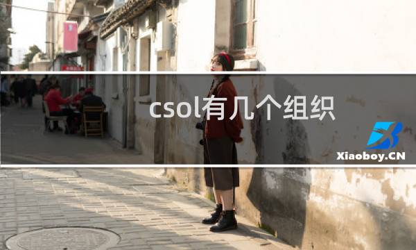 csol有几个组织