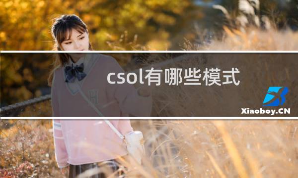 csol有哪些模式