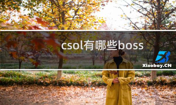csol有哪些boss