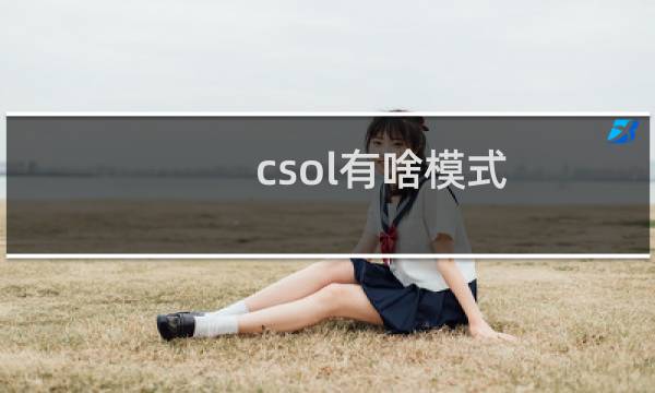 csol有啥模式