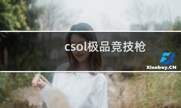 csol极品竞技枪