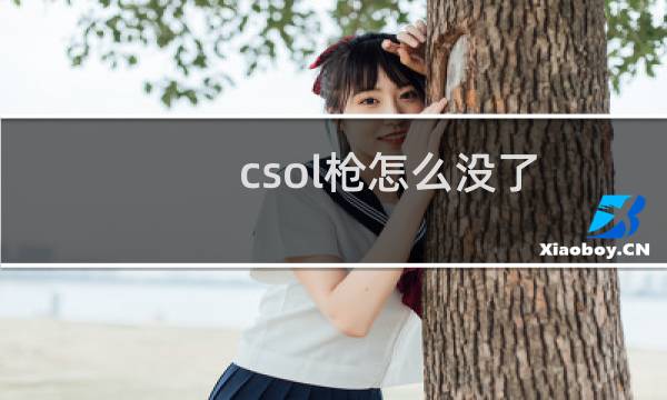 csol枪怎么没了