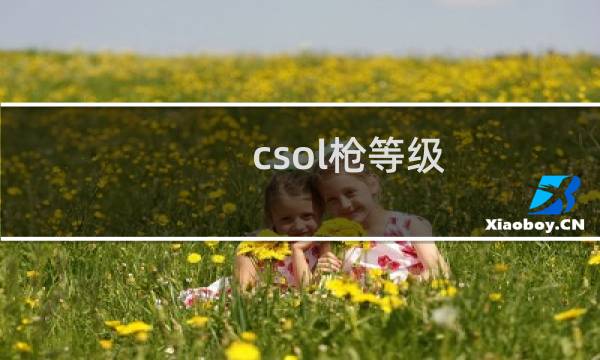 csol枪等级