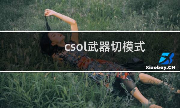 csol武器切模式