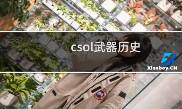 csol武器历史