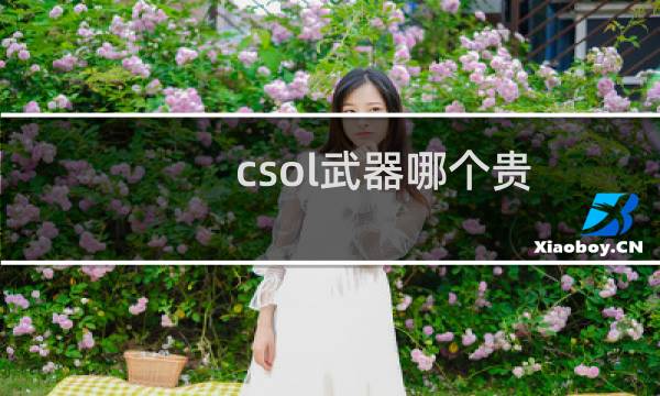 csol武器哪个贵