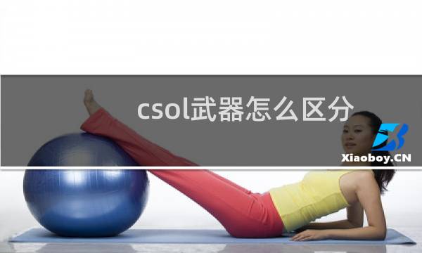 csol武器怎么区分