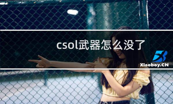 csol武器怎么没了