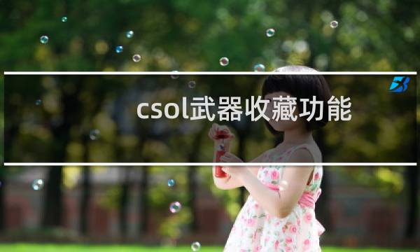 csol武器收藏功能