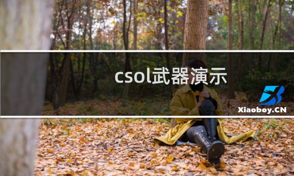 csol武器演示