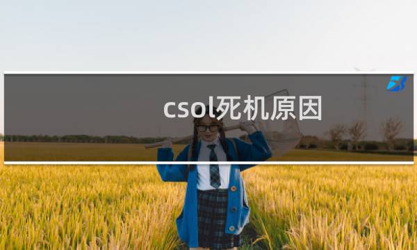 csol死机原因