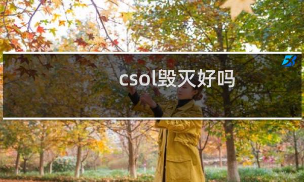 csol毁灭好吗