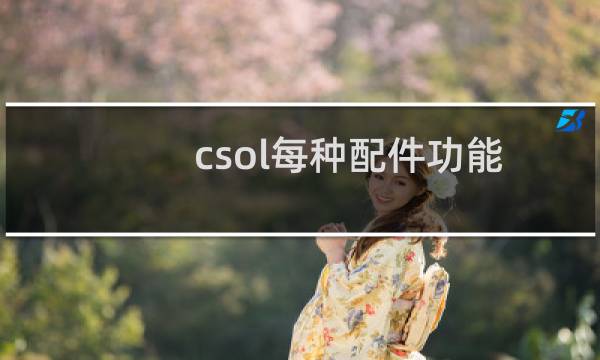 csol每种配件功能