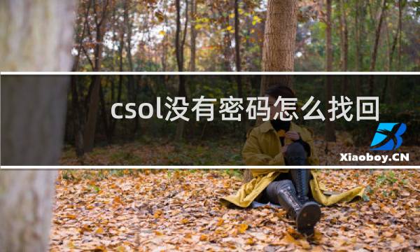 csol没有密码怎么找回