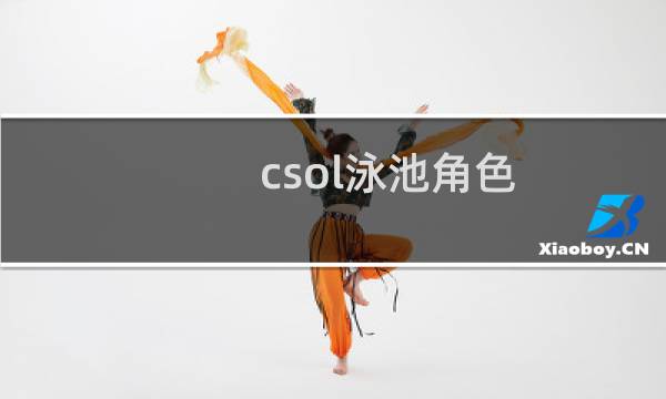 csol泳池角色