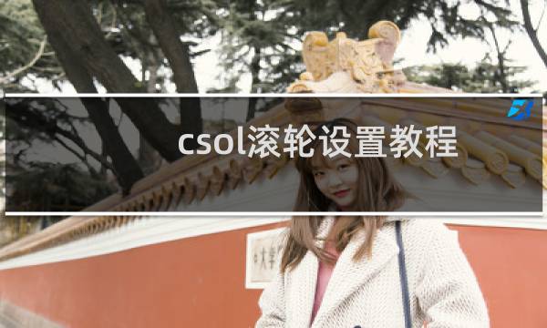 csol滚轮设置教程