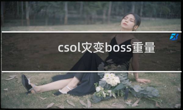 csol灾变boss重量
