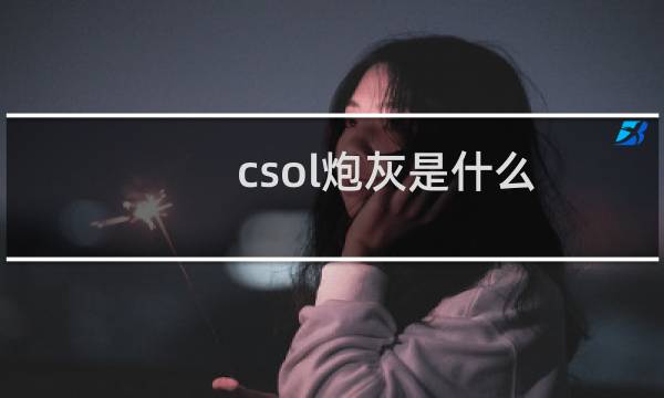 csol炮灰是什么