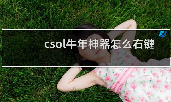 csol牛年神器怎么右键