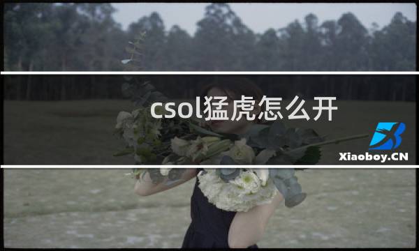csol猛虎怎么开