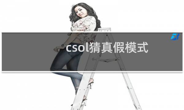 csol猜真假模式
