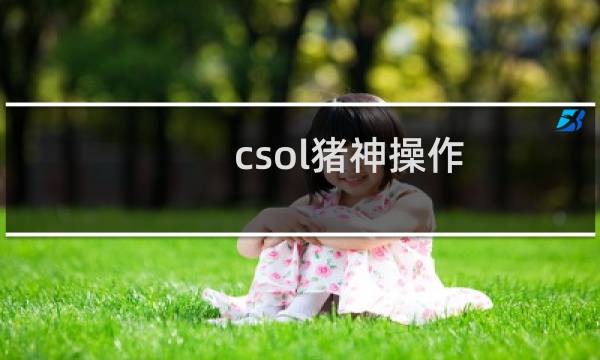 csol猪神操作